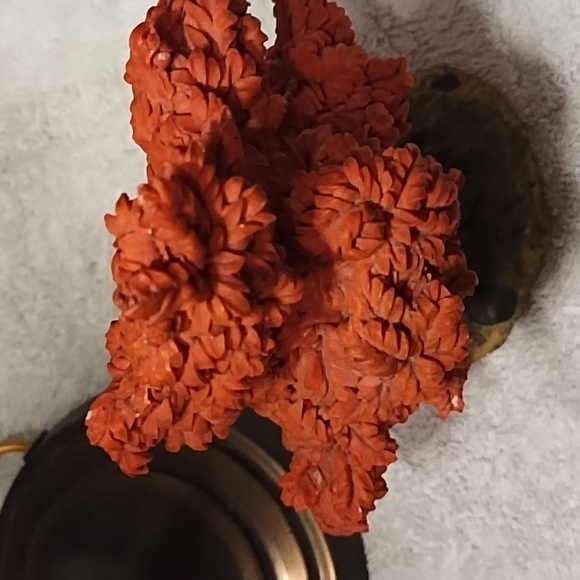 Autumn village trees - Picture 8 of 10